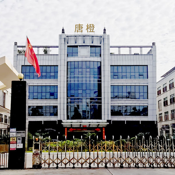 China Guangzhou Tangcheng Technology Co., Ltd. Perfil da companhia